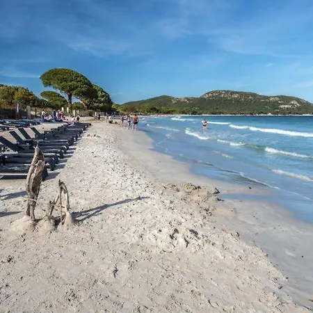 Mini Vue Mer Plage De Palombaggia * Porto-Vecchio (Corsica)